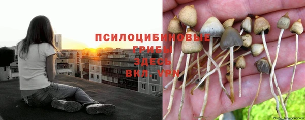 кокс Корсаков