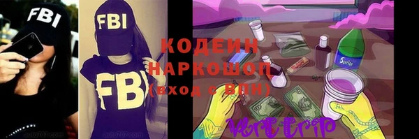 дживик Краснослободск